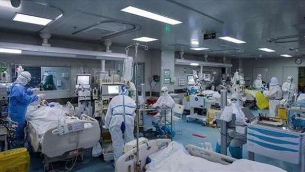 صدى العرب