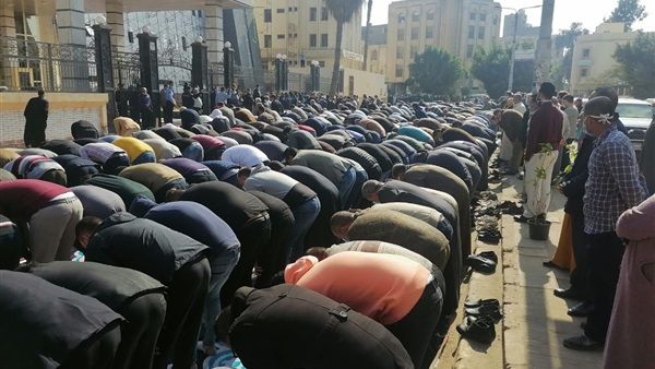 صدى العرب
