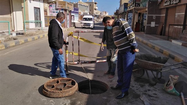 صدى العرب