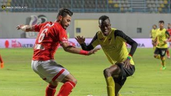 صدى العرب