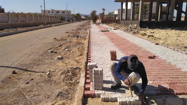 صدى العرب