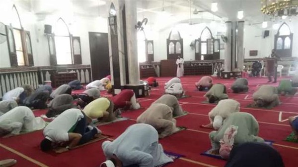 صدى العرب