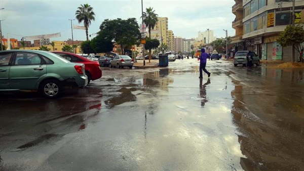صدى العرب