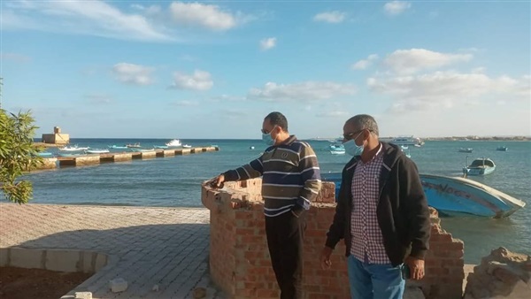 صدى العرب