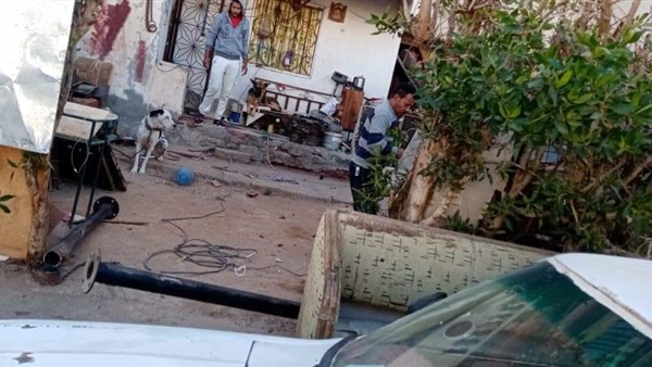 صدى العرب