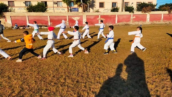 صدى العرب