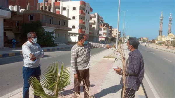 صدى العرب