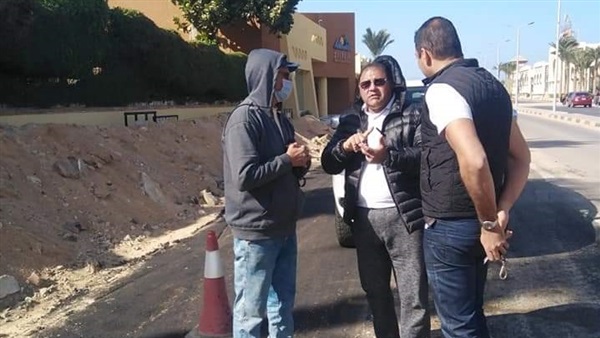 صدى العرب