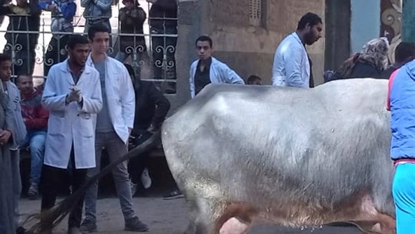 صدى العرب