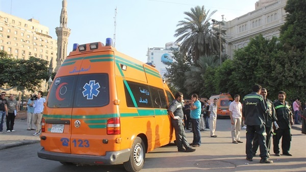 صدى العرب