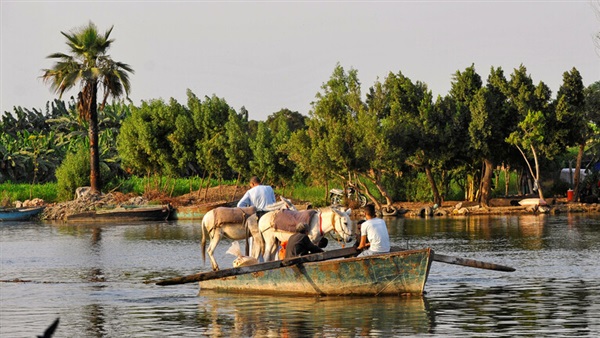 صدى العرب