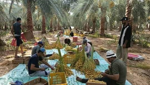 صدى العرب