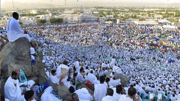 صدى العرب