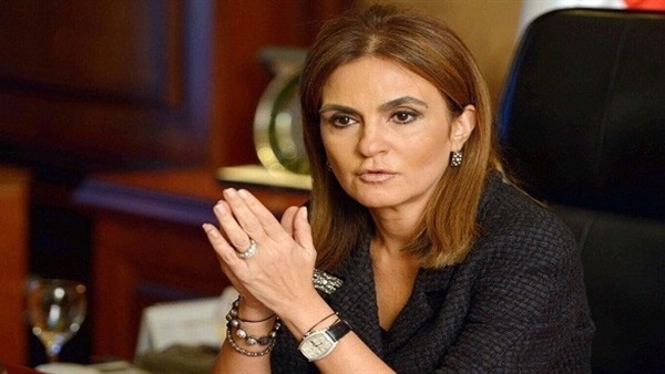 وزير الاستثمار والتعاون