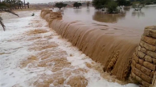 صدى العرب