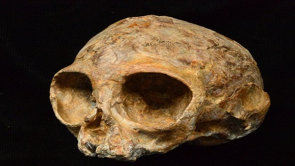 صورة ارشيفية