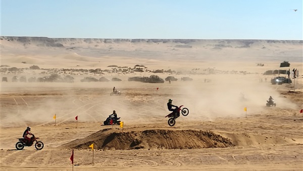 صدى العرب