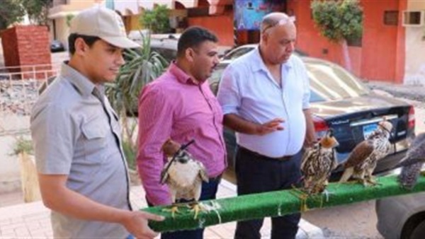 صدى العرب