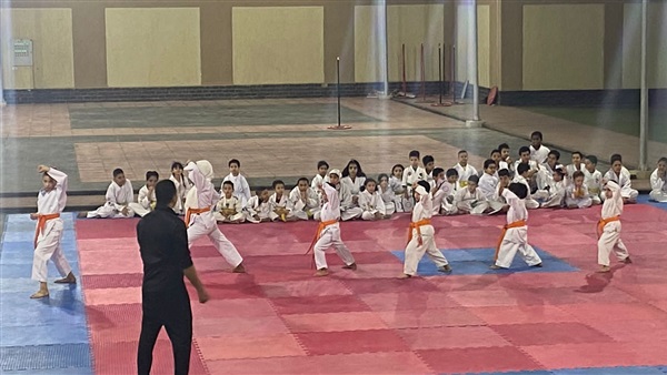 صدى العرب
