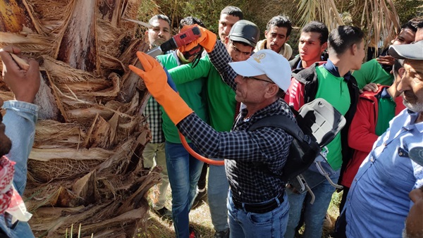صدى العرب