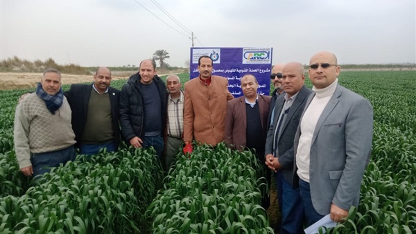 صدى العرب