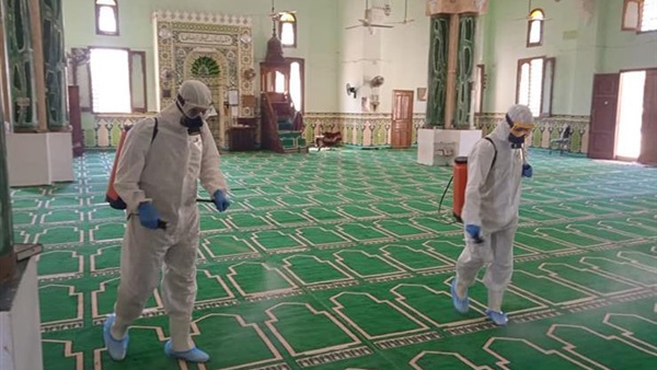 صدى العرب
