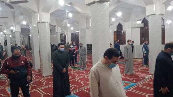 صدى العرب