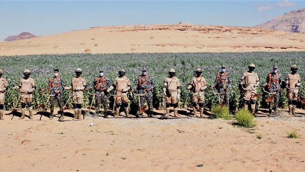 صدى العرب