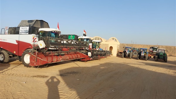 صدى العرب