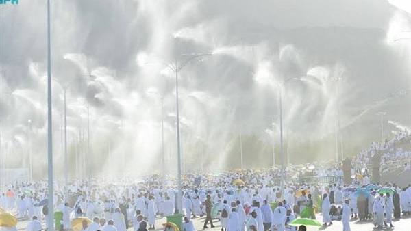 صدى العرب