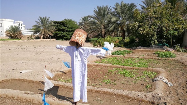 صدى العرب