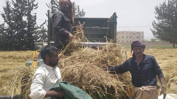 صدى العرب