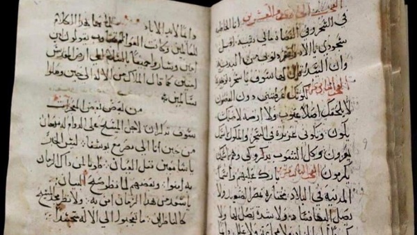 صدى العرب