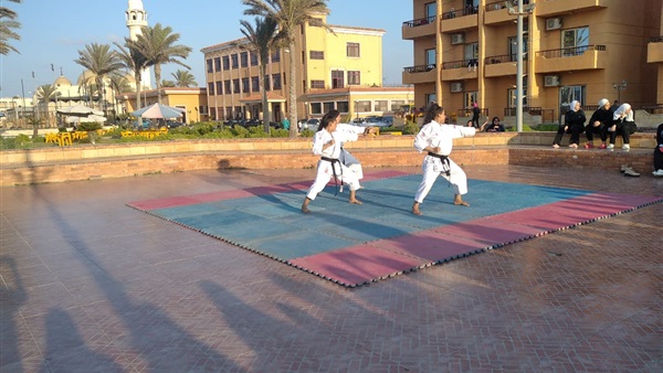 صدى العرب