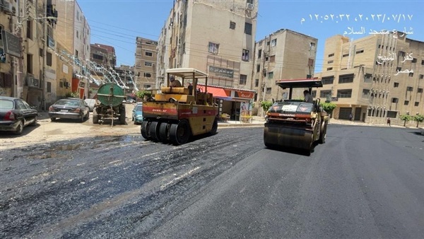 صدى العرب