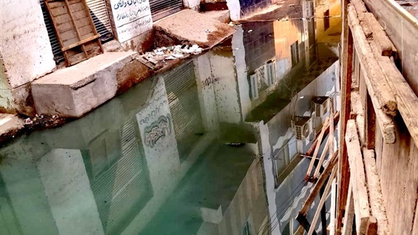 صدى العرب