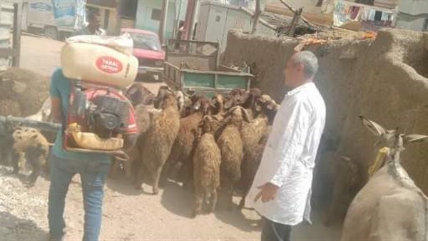 صدى العرب