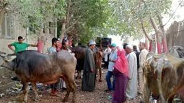 صدى العرب