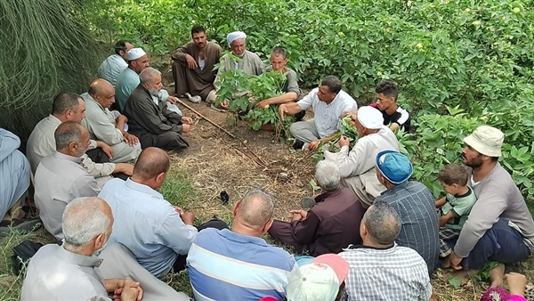 صدى العرب