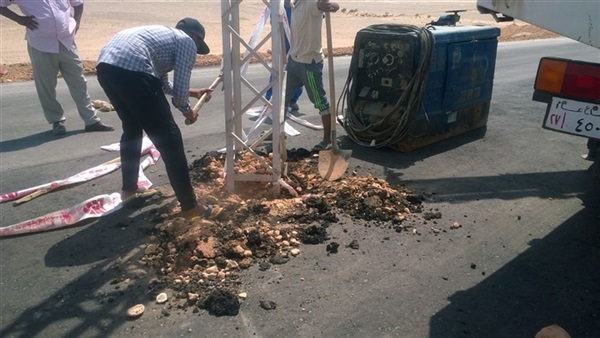 صدى العرب