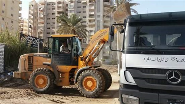 صدى العرب