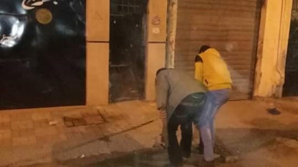 صدى العرب