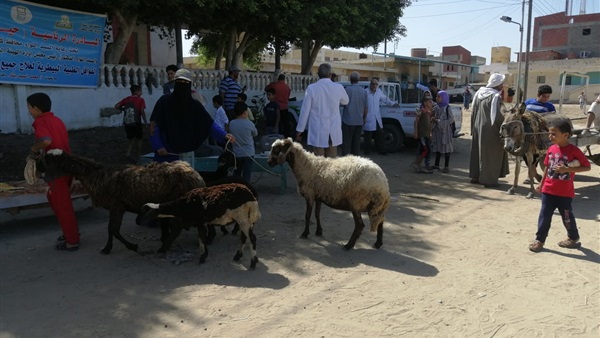 صدى العرب