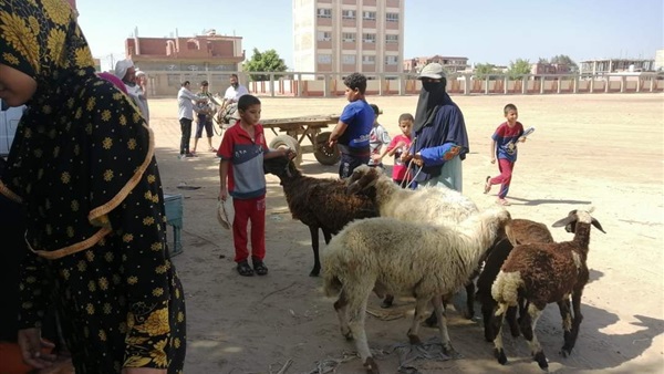 صدى العرب