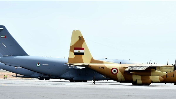 صدى العرب