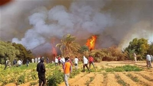 صدى العرب