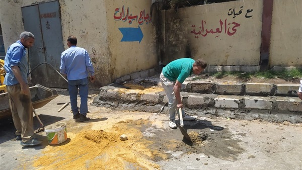 صدى العرب