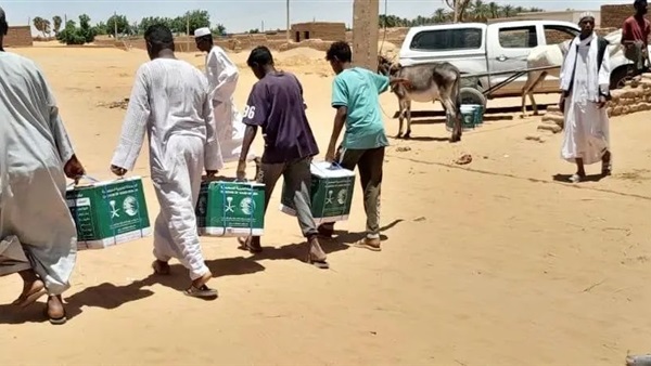 صدى العرب