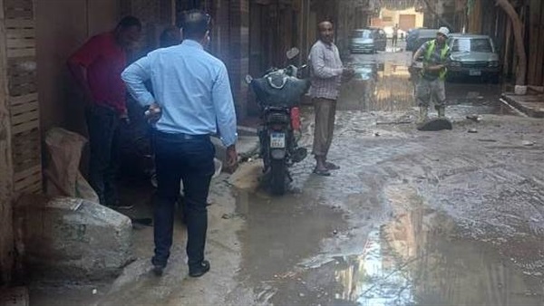 صدى العرب
