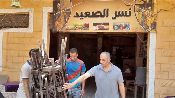 صدى العرب